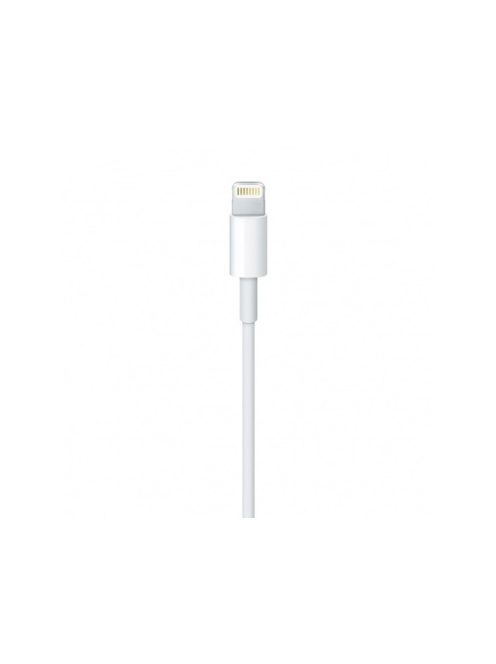 APPLE Lightning to USB cable (1 m)