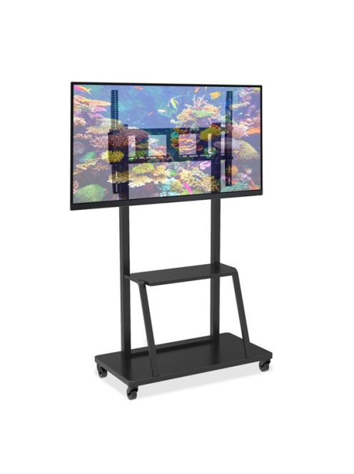 TECHLY ICA-TR30 gurulós padlóállvány 55-100" LED/LCD kijelzőkhöz