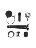 SANDBERG Mikrofon, Streamer USB Microphone Kit
