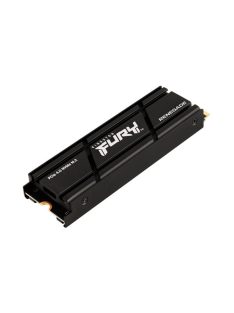   KINGSTON SSD M.2 PCIe 4.0 NVMe 1000GB FURY Renegade with Heatsink
