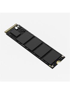 HIKSEMI SSD M.2 2280 NVMe Gen3x4 1024GB E1000 (HIKVISION)