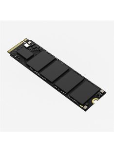 HIKSEMI SSD M.2 2280 NVMe Gen3x4 128GB E1000 (HIKVISION)