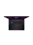 MSI Gaming NB Raider GE78 HX 14VIG-807, 17" QHD+ IPS, i9-14900HX, 64GB, 2TB, RTX 4090 16GB, WIN11Pro, Fekete - US KEY