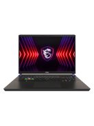 MSI Gaming NB Vector 17 HX A13VHG-808, 17" FHD+ 144Hz, i9-13980HX, 16GB, 1TB M.2, RTX 4080 12GB, WIN11H - US KEY
