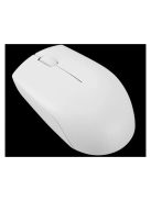 LENOVO 300 Wireless Compact Mouse (Cloud Grey)