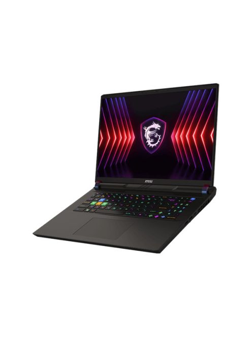 MSI Gaming NB Vector 17 HX A14VHG-897, 17" QHD+ 240Hz, i9-14900HX, 32GB, 1TB M.2, RTX 4080 12GB, WIN11H, Cosmos Gray