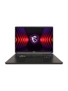 MSI Gaming NB Vector 17 HX A14VGG-265, 17" QHD+ 240Hz, i9-14900HX, 32GB, 1TB M.2, RTX 4070 8GB, No OS, Cosmos Gray