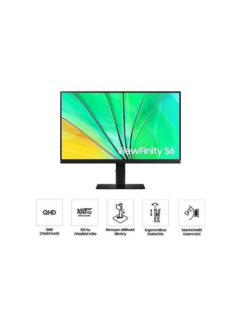 SAMSUNG IPS 100Hz monitor B2B 27" S60D, 2560x1440, 16:9, 350cd/m2, 5ms, HDMI/DisplayPort/3xUSB, Pivot