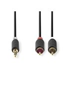 Nedis CABW22200AT100 sztereo audió kábel 3,5mm sztereo jack - 2x RCA,  Aranyozott,  10 m