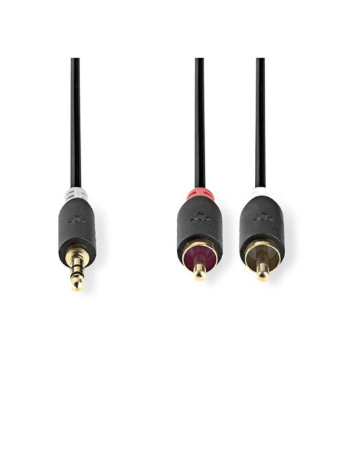 Nedis CABW22200AT100 sztereo audió kábel 3,5mm sztereo jack - 2x RCA,  Aranyozott,  10 m