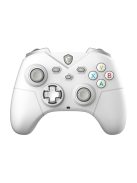 MSI ACCY Force GC300 W White Wireless Game Controller, White